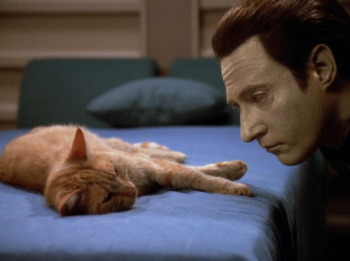 Data spends his weekends basically the same as I do 